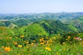 View point Mountain in Khao Kho at Phetchabun Province Royalty Free Stock Photo