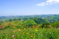 View point Mountain in Khao Kho at Phetchabun Province Royalty Free Stock Photo