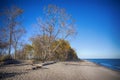View Of Point Pelee National Park Beach In The Fal, Lake Erie, O
