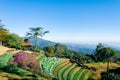 View point of Tree, fog and mountain scen eat Huai Nam Dang National Park,Chingmai