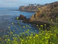 View of Point Vicente on the Palos Verdes Peninsula in California Royalty Free Stock Photo