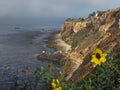 View of Point Vicente on the Palos Verdes Peninsula in California Royalty Free Stock Photo