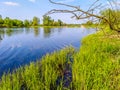 View Polish lake on a sunny day