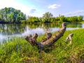 View Polish lake on a sunny day