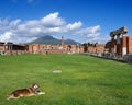 View of the Pompei ruins and Vesuvius volcano. Royalty Free Stock Photo