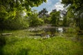 View of a pond in the forest of Fontainebleau