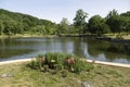 View of a pond at a public park Royalty Free Stock Photo