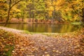 View of the pond is surrounded by autumn forest with yellow leaves Royalty Free Stock Photo