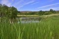 Wetland Landscape of South West Scotland Royalty Free Stock Photo