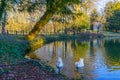 Pond, temple, and geese in the Monza Park