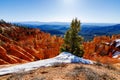 View from Ponderosa Point in Bryce Canyon National Park Royalty Free Stock Photo