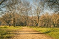 Road trail, pathway, footpath in autumn forest. Autumn trail hiking road in green forest morning fog. Pathway road in mountain f