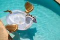 Giant inflatable Pegasus in the pool with clear azur water Royalty Free Stock Photo