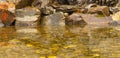 View of a pool with stones on the botton