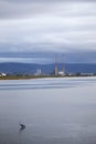 View of Poolbeg Towers from Clontarf in Dublin with Herons in foreground Royalty Free Stock Photo