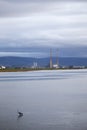 View of Poolbeg Towers from Clontarf in Dublin with Herons in foreground