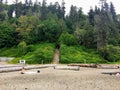 A view of the popular wreck beach, a famous nude beach along the beautiful forests of the West side of Vancouver, British Columbia