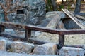 View of porcupine enclosure in modern zoo Royalty Free Stock Photo