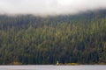 View of Port Alberni inlet and forest during a misty morning, Vancouver Island, BC