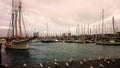 View of the port with lot of seagulls around