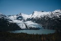 View of Portage glacier in the Chugach mountains and Portage lake on the background and pink blooming fireweed on the Royalty Free Stock Photo
