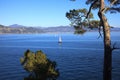 View from Portofino`s lighthouse, Genova, Liguria, Italy