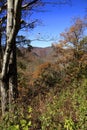 View from Pounding Mill Overlook in North Carolina