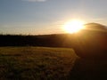 View of the preseli mountains at dusk with hay bal Royalty Free Stock Photo