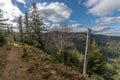 View of a preserved mountain forest in a silent wild valley