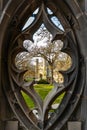 View of Princeton University campus through the window