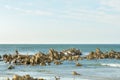 View from Pringle Bay beach Royalty Free Stock Photo