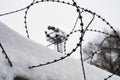 View on prison guarding tower through barbed wire Royalty Free Stock Photo