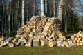 view of processed firewood degree, heating concept, home heating with firewood