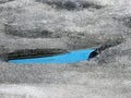 View of puddle with blue water on the ice river in march Royalty Free Stock Photo