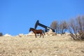 View of Pumpjack at Daylight Oil Industry