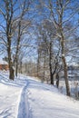 View of The Pumpviken park in winter, path in the snow and trees, Karjaa, Raseborg, Finland