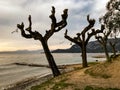 View of Lake Garda from Bardolino, Verona, Italy Royalty Free Stock Photo