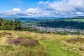 A view of purple heather clusters on Ilkley moor above the town of Ilkley Yorkshire, UK Royalty Free Stock Photo