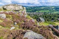 A view of purple heather on a rock summit on Ilkley moor above the town of Ilkley Yorkshire, UK Royalty Free Stock Photo