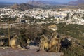 View of Pushkar lake from Savitri Mata temple