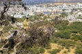 View of Pushkar from Savitri Mata temple