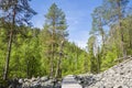 View of The Pyha-Luosto National Park in summer, wooden walkway, pine trees and rocks