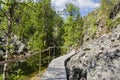 View of The Pyha-Luosto National Park in summer, wooden walkway and rocks