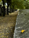 View of the PÃÂ¨re Lachaise cemetery in Paris under the trees Royalty Free Stock Photo