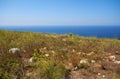 The view of Qrendi coast with the Filfla islet on the backgroun