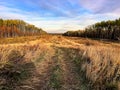 View of a quadding trail through a cutline in fall Royalty Free Stock Photo