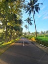 view of a quiet road on the outskirts of the village Royalty Free Stock Photo