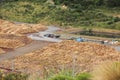 View of Radiata Pine harvesting and logging port for forestry in Picton, New Zealand