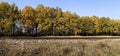 View of a railroad and a row of trees against the sky Royalty Free Stock Photo