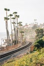 View of railroad tracks and palm trees in San Clemente, Orange County, California Royalty Free Stock Photo